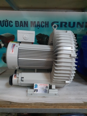 can-dien-tu-camry-sieu-mong-hoa-tiet-hoa-van-eb-9301-s109